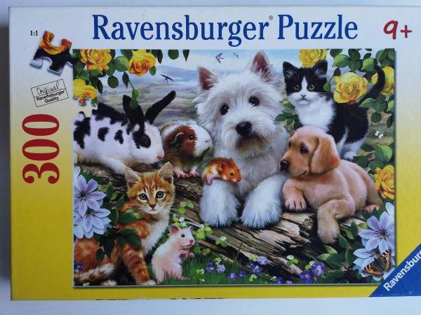 Spiel 79.0